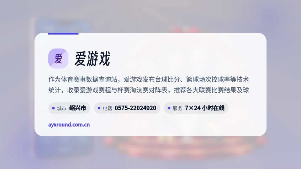 爱游戏概况